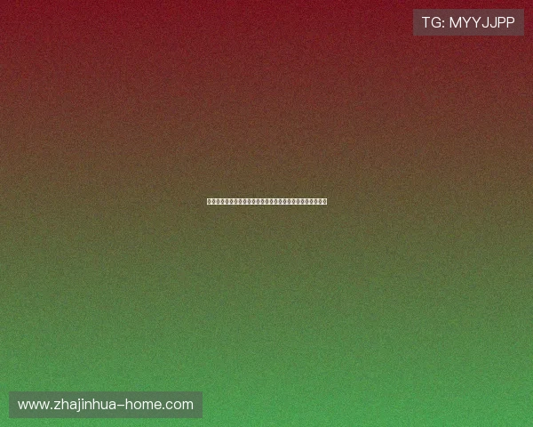 宗磊：从科技创新到行业领袖的成长之路与未来发展方向解析